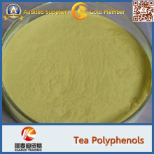 Weißes Tee-Extrakt-Pulver, weißes Tee-Pulver 90% Polyphenole